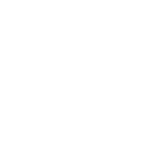 circle1